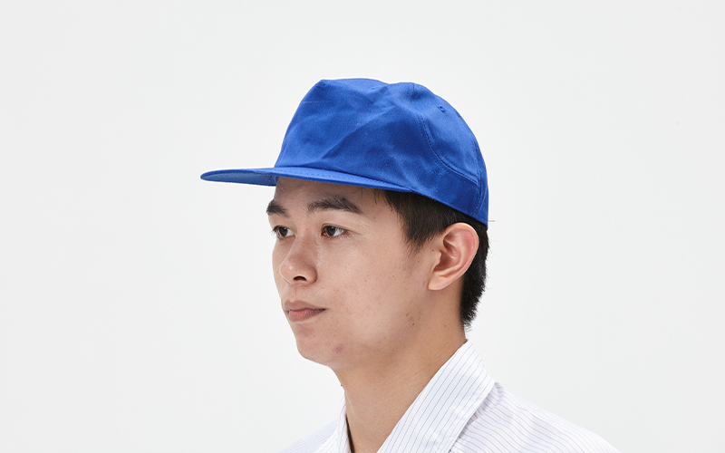 Anti-static and dust-proof work hat with wide brim