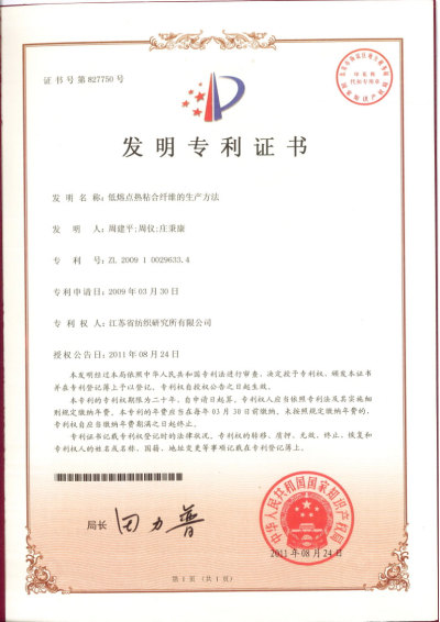 25-Certificado de patente de invenção