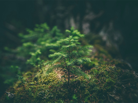 Comment pouvons-nous améliorer la durabilité et la protection de l’environnement dans la production de tissus ?