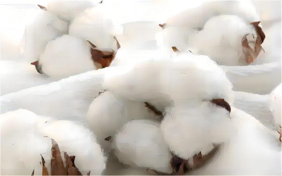 Del algodón a los tejidos puros: sea testigo de un viaje de transformación