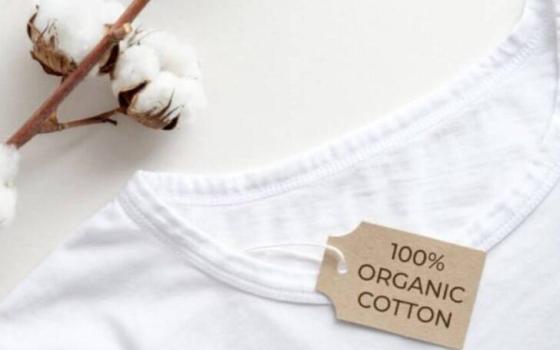 Organická bavlna smíchaná s recyklovanými vlákny: Budoucnost udržitelných textilií