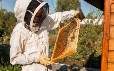 Safety Workwear: Why Is It Important for Employees?