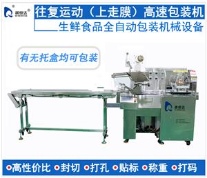 往復(fù)運(yùn)動(dòng)上走膜高速包裝機(jī) 枕式食品包裝機(jī) 食品包裝機(jī)自動(dòng)包裝機(jī)械設(shè)備