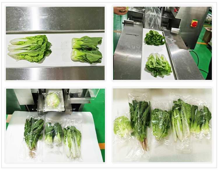 綠葉菜裝袋機