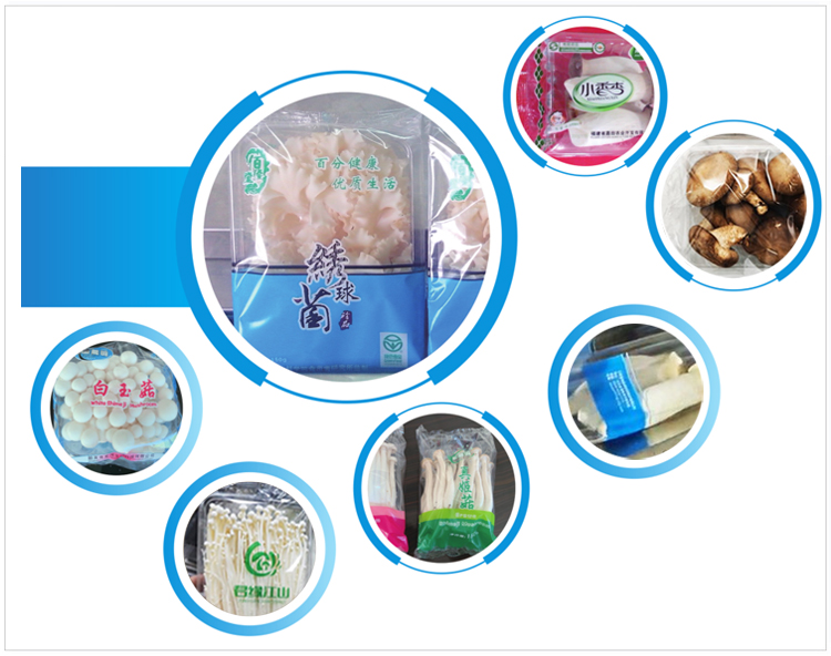 mushroom tray packing machine