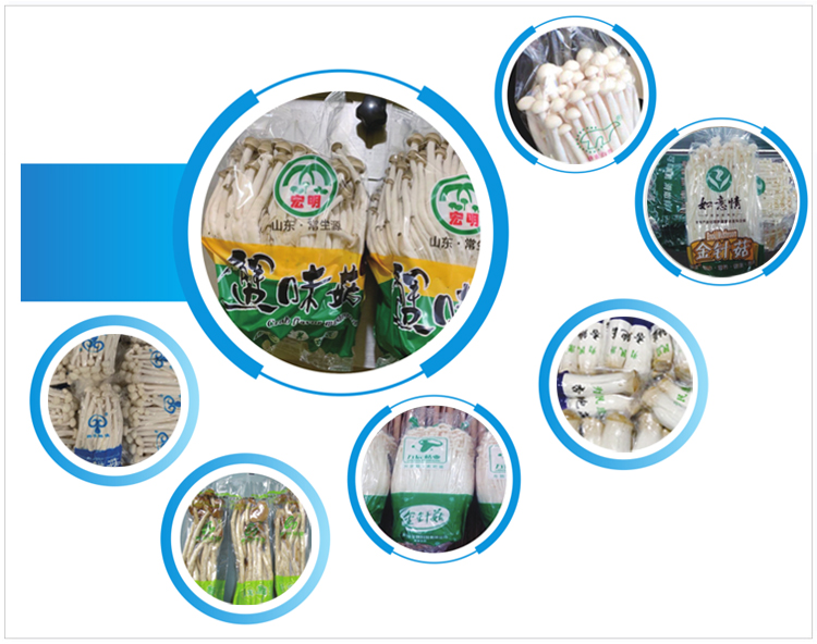 fully automatic packing machine