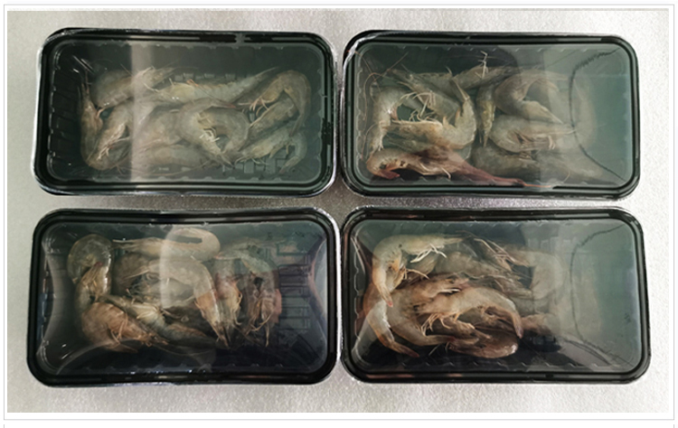 Full-automatic Seafood Packaging Machine