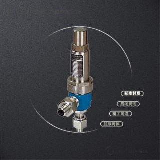 Safety Valve