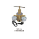 Carbon Dioxide Pressure Relief Valve