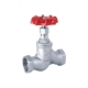 Globe Valve