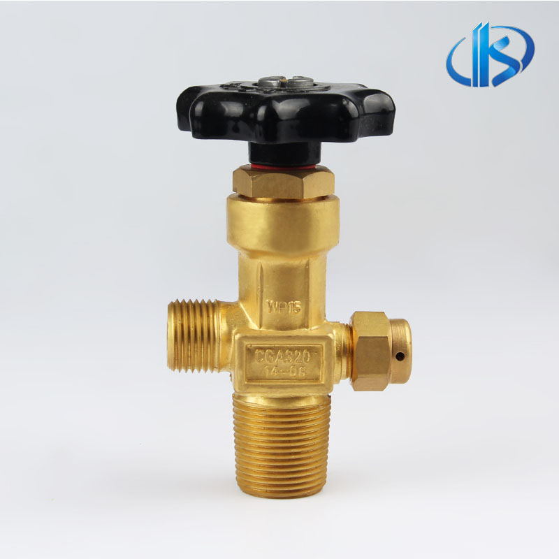 Southeast Asia /South America CO2 Valve CGA320