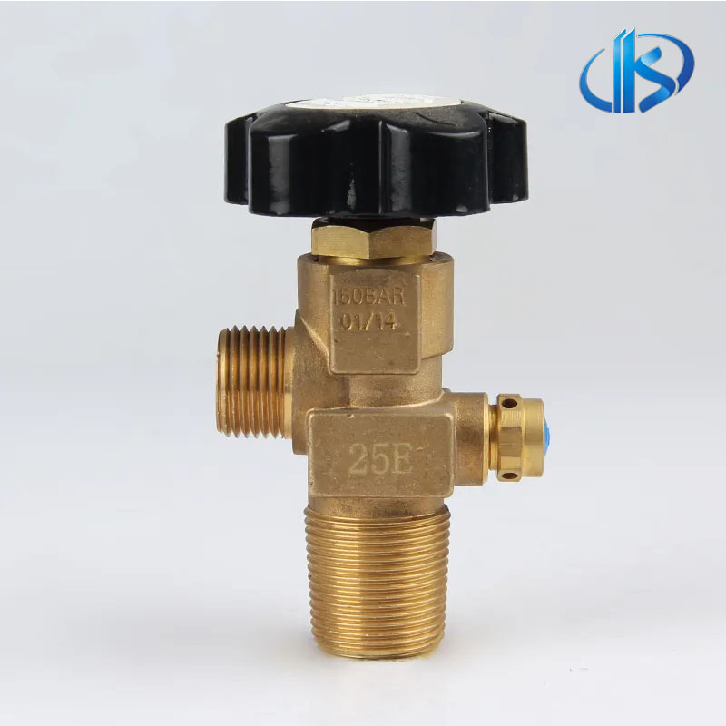 European oxygen valve 25E European oxygen valve 25E