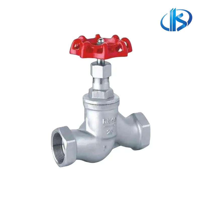 Globe Valve