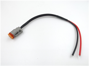 2Pin Auto Electrical Cables assembly