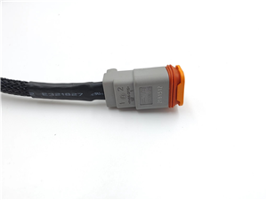 2Pin Auto Electrical Cables assembly