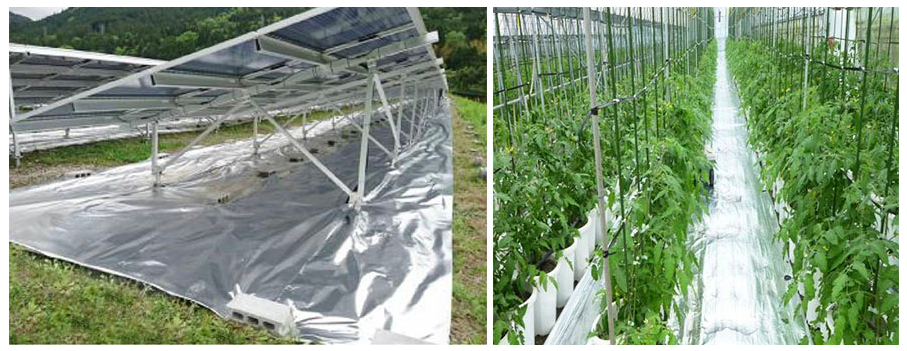 Reflectance Double-Sided weed control sheet