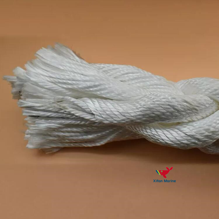 Beli  Tali Tambat Kapal Nilon Poliamida,Tali Tambat Kapal Nilon Poliamida Harga,Tali Tambat Kapal Nilon Poliamida Merek,Tali Tambat Kapal Nilon Poliamida Produsen,Tali Tambat Kapal Nilon Poliamida Quotes,Tali Tambat Kapal Nilon Poliamida Perusahaan,