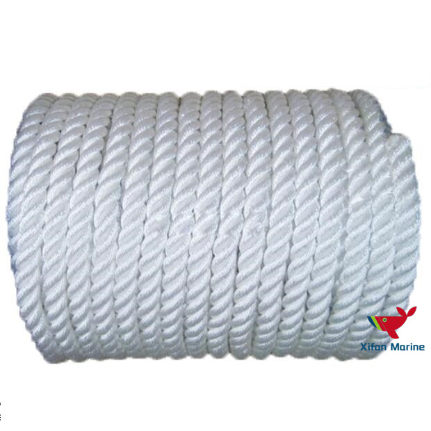 Beli  Tali Tambat Laut Poliester,Tali Tambat Laut Poliester Harga,Tali Tambat Laut Poliester Merek,Tali Tambat Laut Poliester Produsen,Tali Tambat Laut Poliester Quotes,Tali Tambat Laut Poliester Perusahaan,