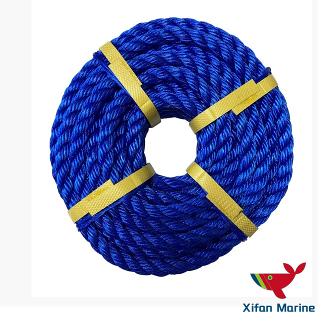 Beli  Tali Tambat Laut Polypropylene Kinerja Tinggi,Tali Tambat Laut Polypropylene Kinerja Tinggi Harga,Tali Tambat Laut Polypropylene Kinerja Tinggi Merek,Tali Tambat Laut Polypropylene Kinerja Tinggi Produsen,Tali Tambat Laut Polypropylene Kinerja Tinggi Quotes,Tali Tambat Laut Polypropylene Kinerja Tinggi Perusahaan,