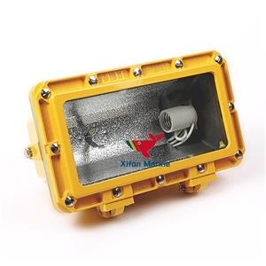 CFT2 / Lampu Banjir Tahan Ledakan Tahan Api