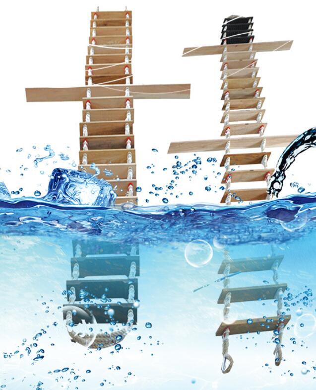 Vessel Stainless Steel Inclined Ladder