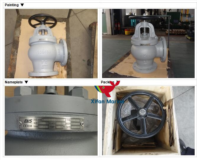 Cast Iron Angle Globe Valve