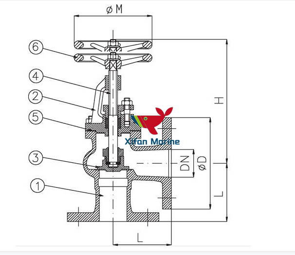 Cast Iron Angle Globe Valve