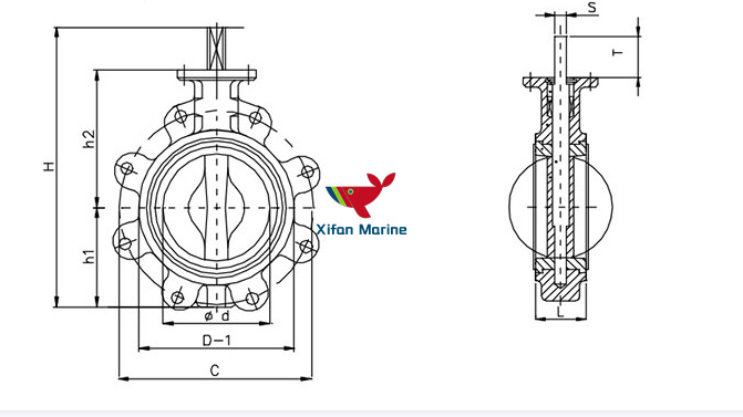 Concentric Butterfly Valve