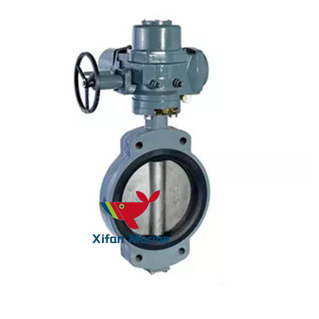 Beli  Katup Kupu-Kupu Tipe Pusat Kelautan,Katup Kupu-Kupu Tipe Pusat Kelautan Harga,Katup Kupu-Kupu Tipe Pusat Kelautan Merek,Katup Kupu-Kupu Tipe Pusat Kelautan Produsen,Katup Kupu-Kupu Tipe Pusat Kelautan Quotes,Katup Kupu-Kupu Tipe Pusat Kelautan Perusahaan,