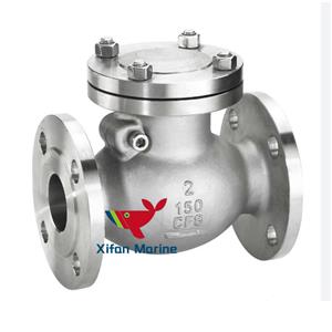 Swing Check Valve Untuk Pembangkit Listrik FRP Pound