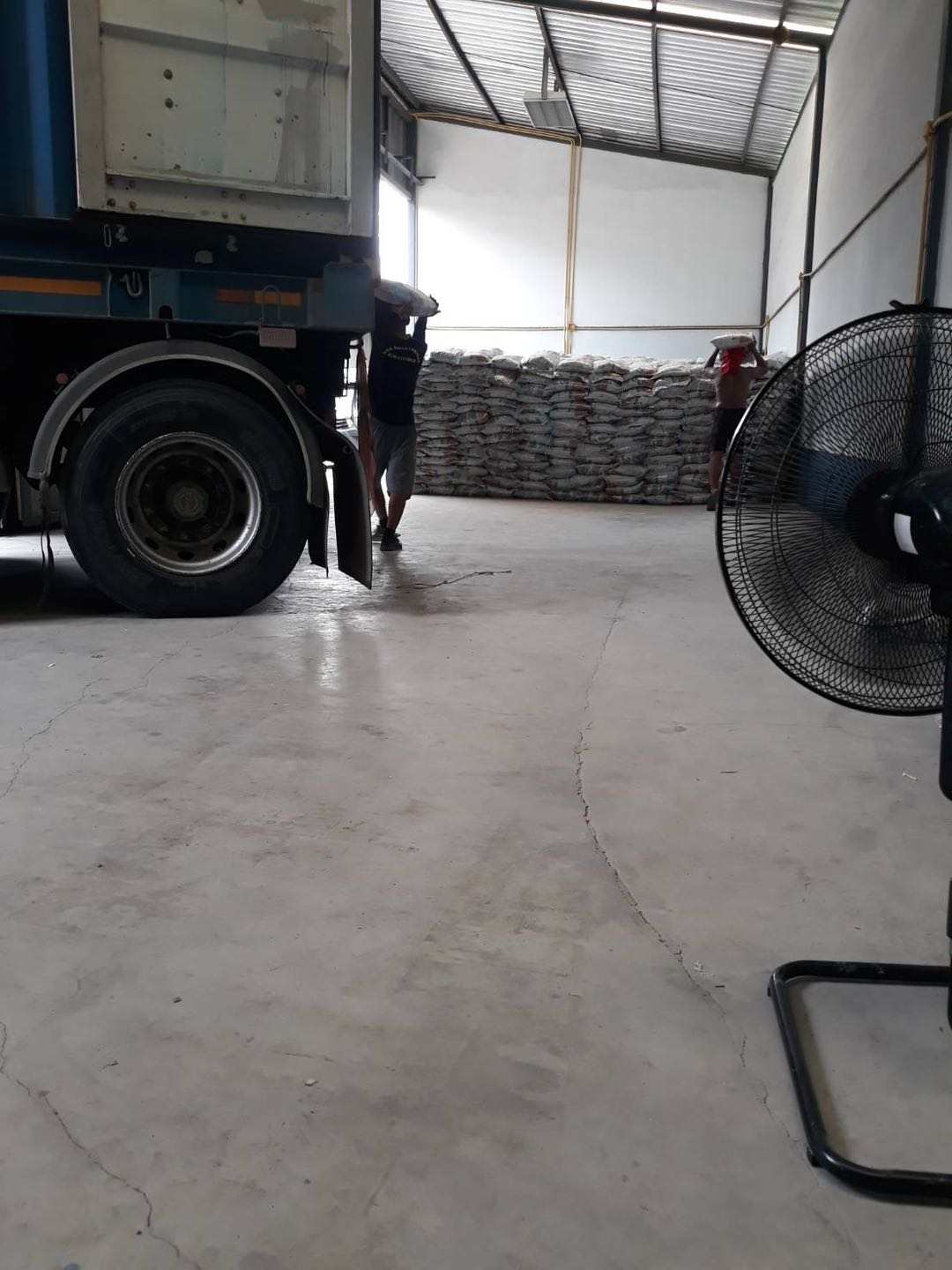 bentonite cat litter bentonite cat litter