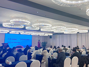 Estudio y formación regulares.