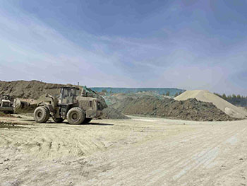 مادة فضلات القطط