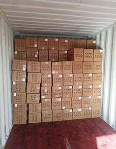 bulk tofu cat litter