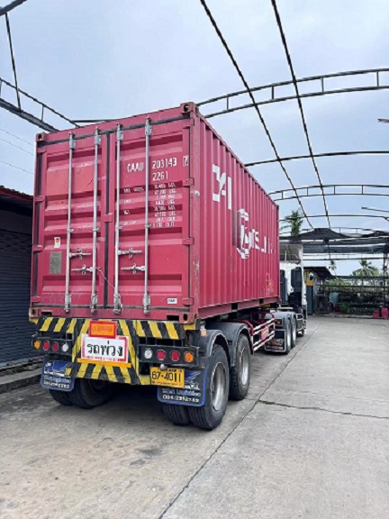 Descarga de arena para gatos personalizada para clientes tailandeses