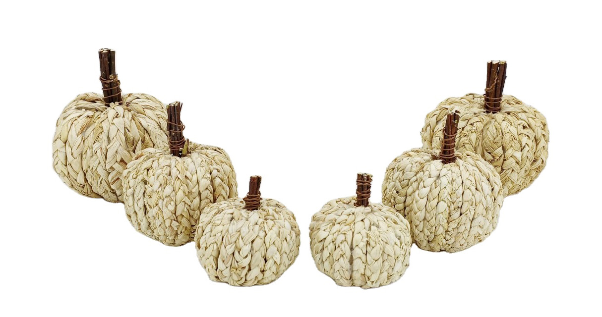 pumpkin decor for home