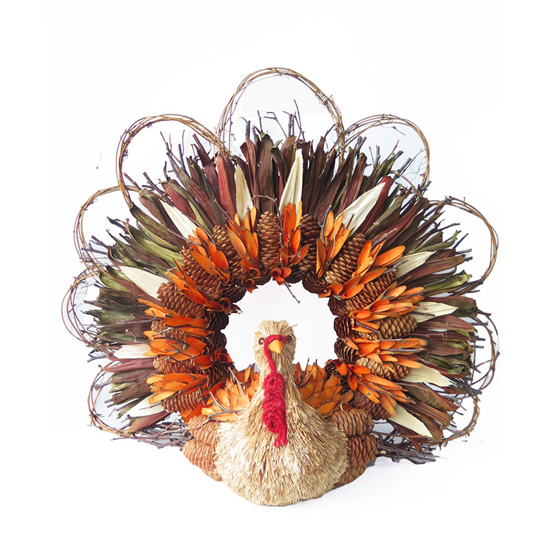 Thanksgiving Day Animals Turkey