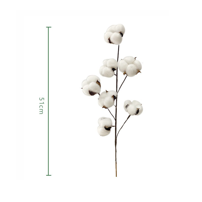 Acquista Fiori secchi floreali Foglie di eucalipto Rami di cotone bianco,Fiori secchi floreali Foglie di eucalipto Rami di cotone bianco prezzi,Fiori secchi floreali Foglie di eucalipto Rami di cotone bianco marche,Fiori secchi floreali Foglie di eucalipto Rami di cotone bianco Produttori,Fiori secchi floreali Foglie di eucalipto Rami di cotone bianco Citazioni,Fiori secchi floreali Foglie di eucalipto Rami di cotone bianco  l'azienda,