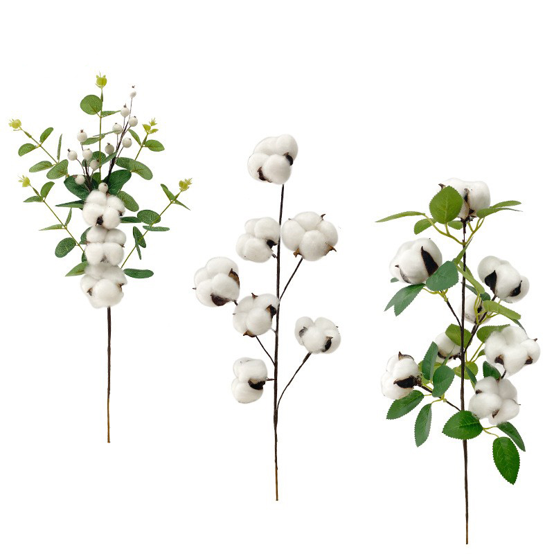 Floral Dried Flowers Eucalyptus Leaves White Cotton Branches