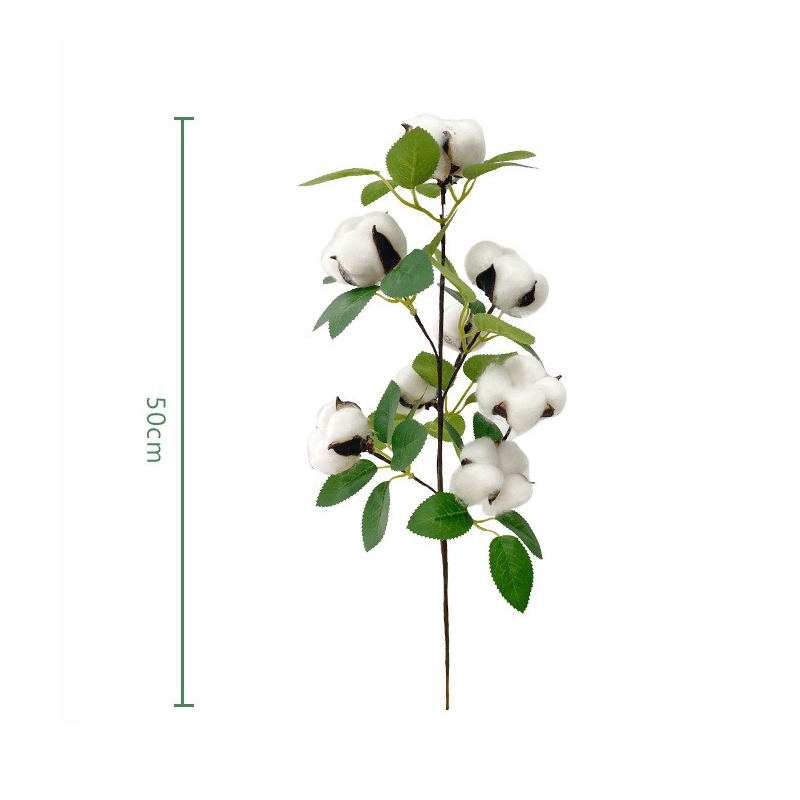 Koop Bloemen Gedroogde Bloemen Eucalyptus Bladeren Witte Katoenen Takken. Bloemen Gedroogde Bloemen Eucalyptus Bladeren Witte Katoenen Takken Prijzen. Bloemen Gedroogde Bloemen Eucalyptus Bladeren Witte Katoenen Takken Brands. Bloemen Gedroogde Bloemen Eucalyptus Bladeren Witte Katoenen Takken Fabrikant. Bloemen Gedroogde Bloemen Eucalyptus Bladeren Witte Katoenen Takken Quotes. Bloemen Gedroogde Bloemen Eucalyptus Bladeren Witte Katoenen Takken Company.