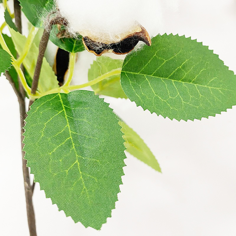 Floral Dried Flowers Eucalyptus Leaves White Cotton Branches