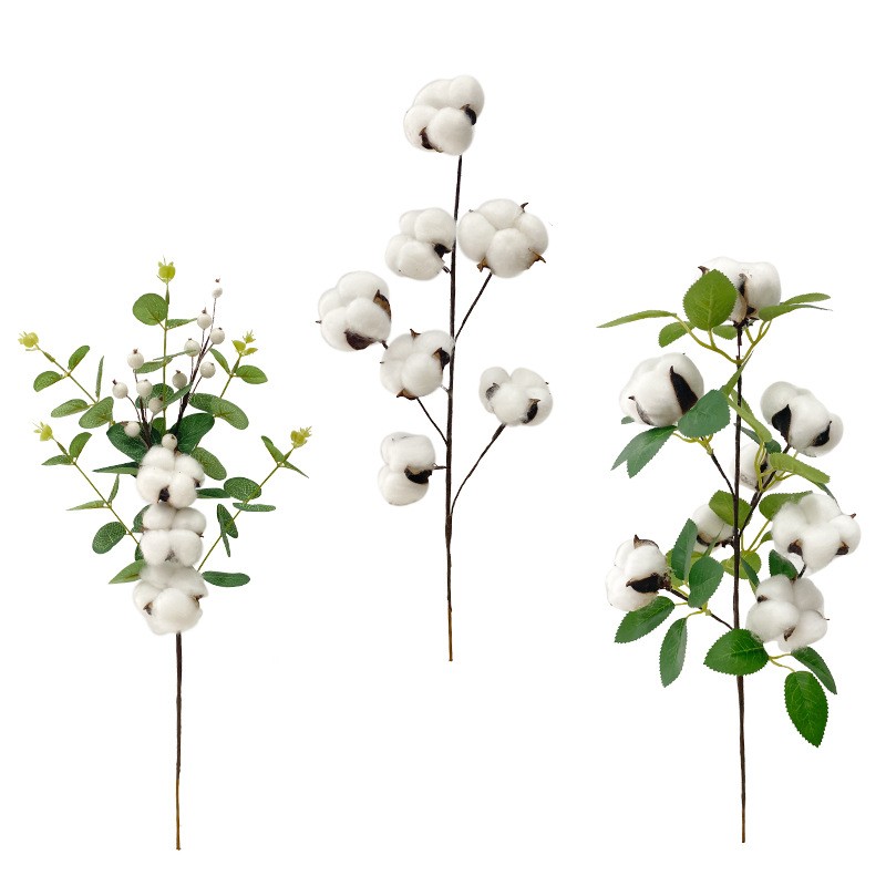 Floral Dried Flowers Eucalyptus Leaves White Cotton Branches