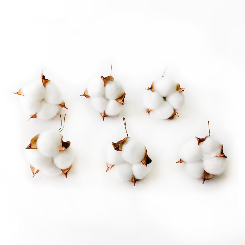 Cotton Branch Decor