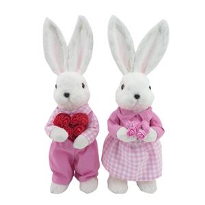 Joyeux couple de lapins pour la Saint-Valentin