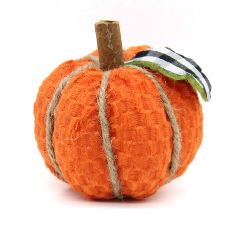 Fall Autumn Home Thanksgiving Decor Pumpkin