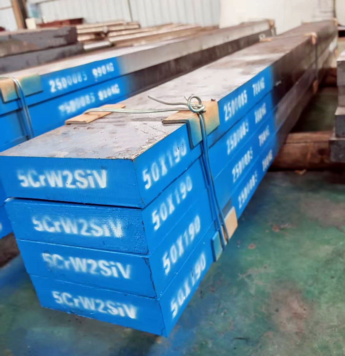 5CrW2SiV Alloy Tool Steel