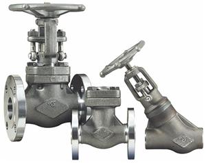 Forged Carbon, Stainless and Alloy Valves