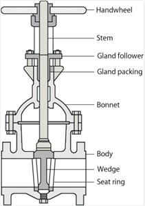 What are the basic parts of a valve?