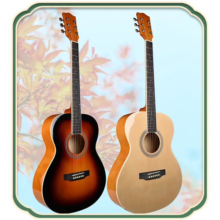 acoustic Acoustic Guitar