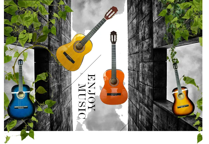 guitar